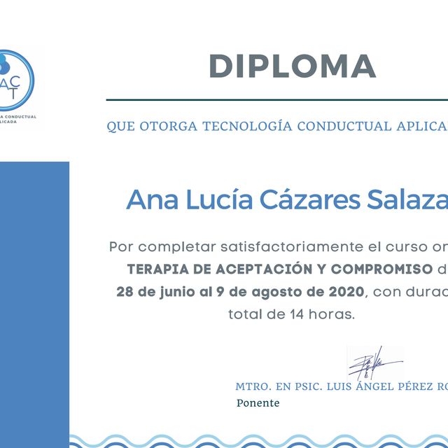Ampliar imagen: certificate 6