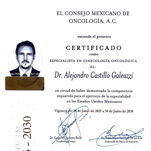 Ampliar imagen: certificate 2