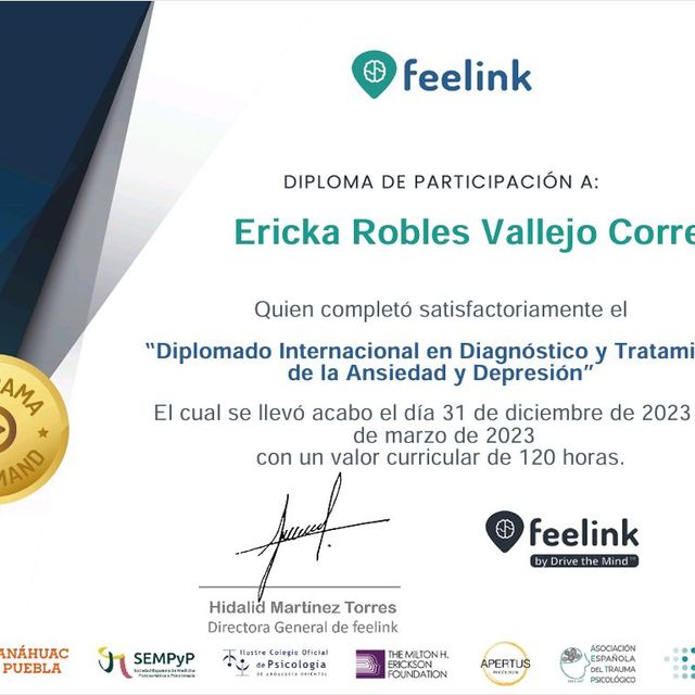 Ampliar imagen: certificate 7
