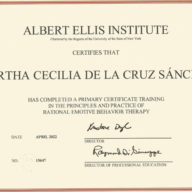 Ampliar imagen: certificate 2