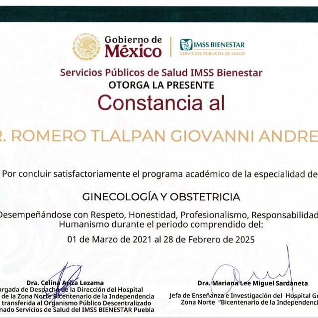 Ampliar imagen: certificate 2