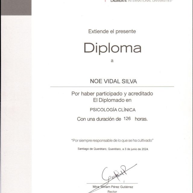 Ampliar imagen: certificate 3