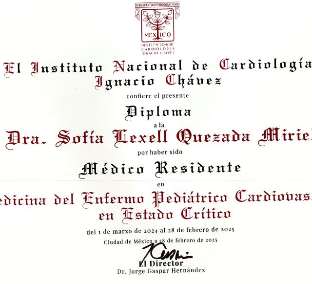 Ampliar imagen: certificate 3