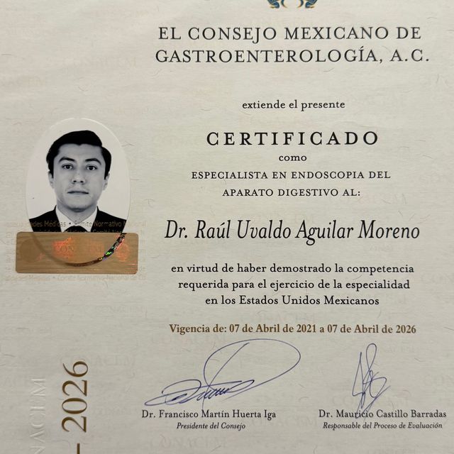 Ampliar imagen: certificate 1