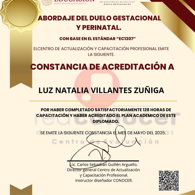 Ampliar imagen: certificate 2