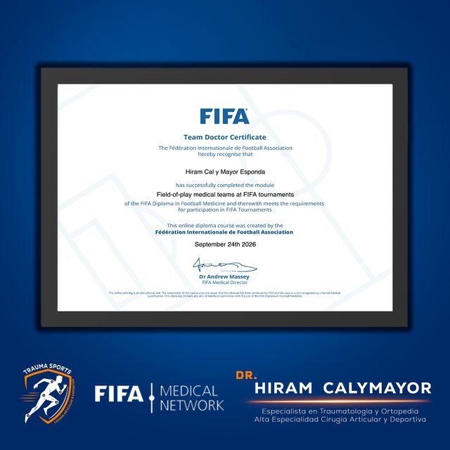 Ampliar imagen: certificate 4