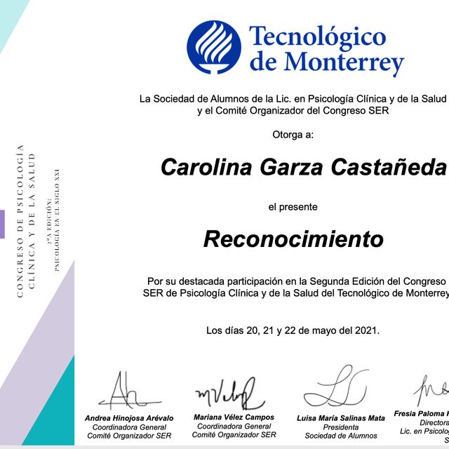 Ampliar imagen: certificate 2