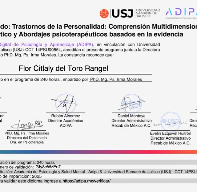 Ampliar imagen: certificate 4