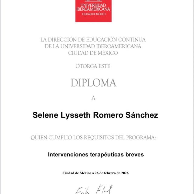 Ampliar imagen: certificate 5