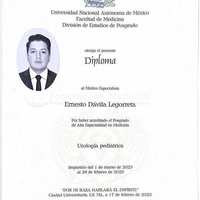 Ampliar imagen: certificate 2