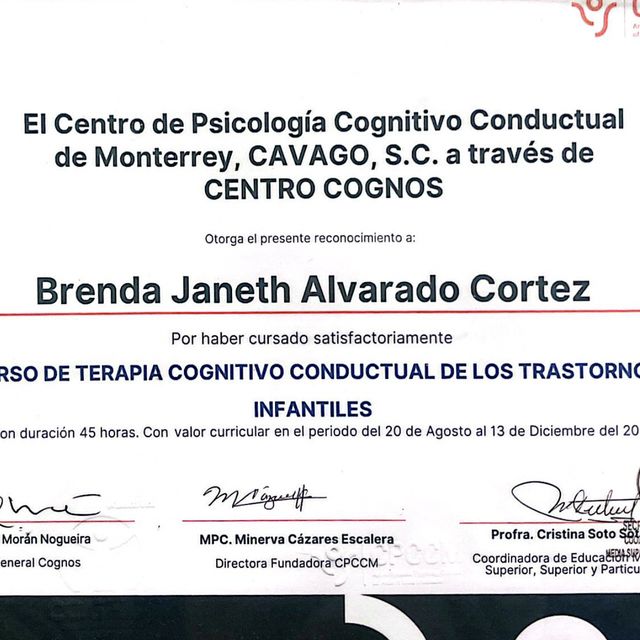 Ampliar imagen: certificate 2