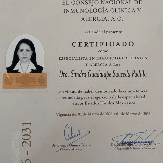 Ampliar imagen: certificate 6