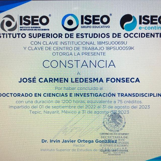 Ampliar imagen: certificate 29