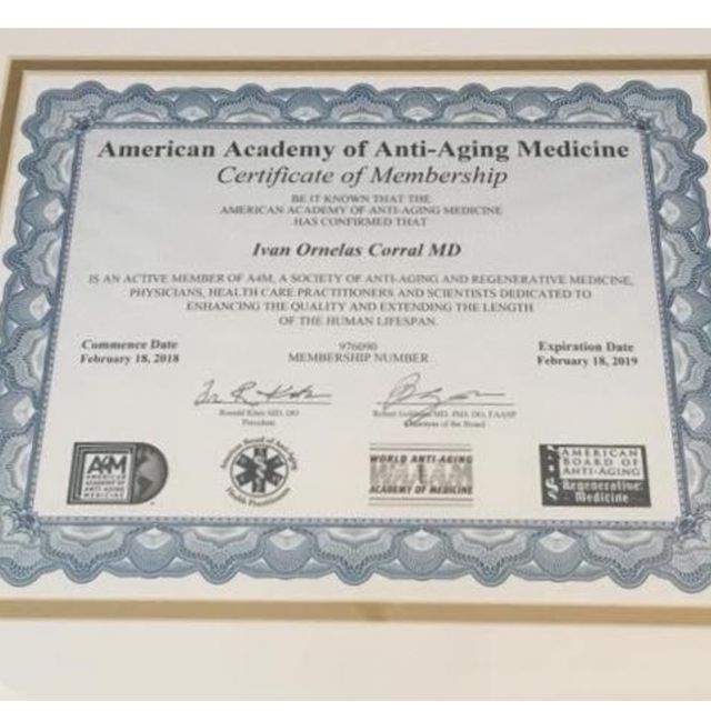 Ampliar imagen: certificate 17