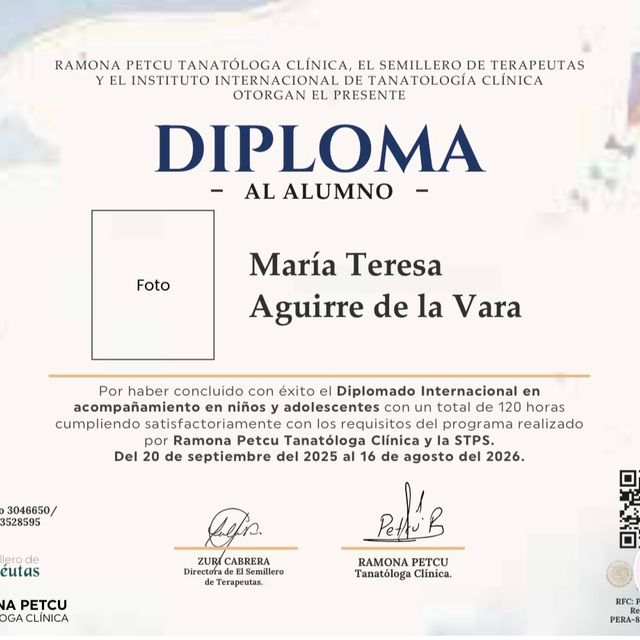 Ampliar imagen: certificate 1
