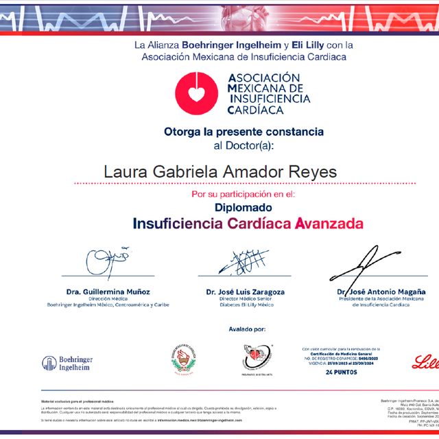 Ampliar imagen: certificate 14