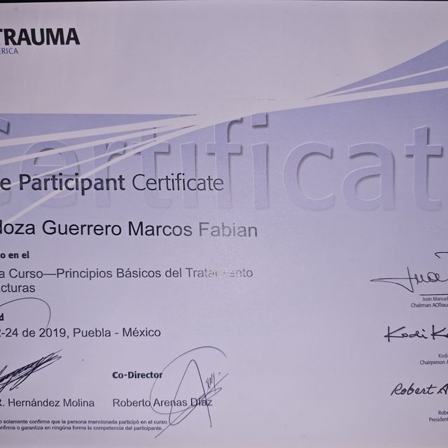 Ampliar imagen: certificate 6