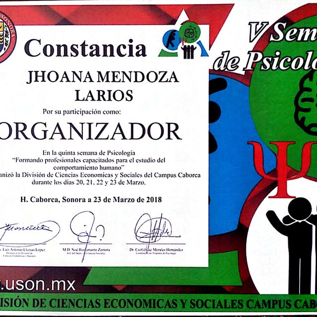 Ampliar imagen: certificate 6