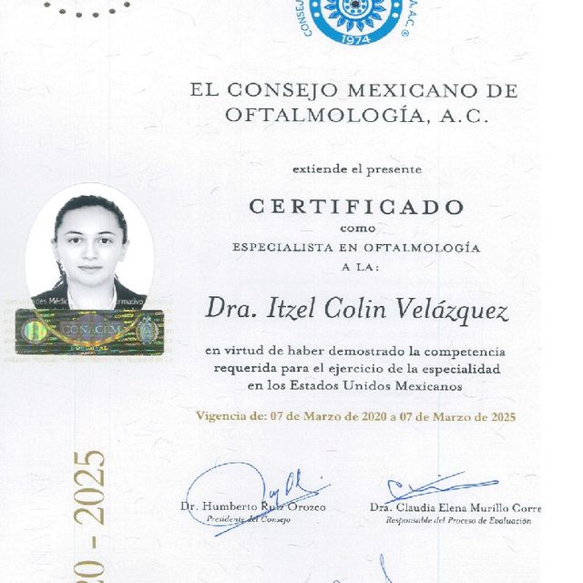 Ampliar imagen: certificate 1