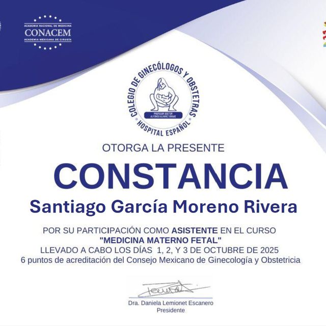 Ampliar imagen: certificate 2