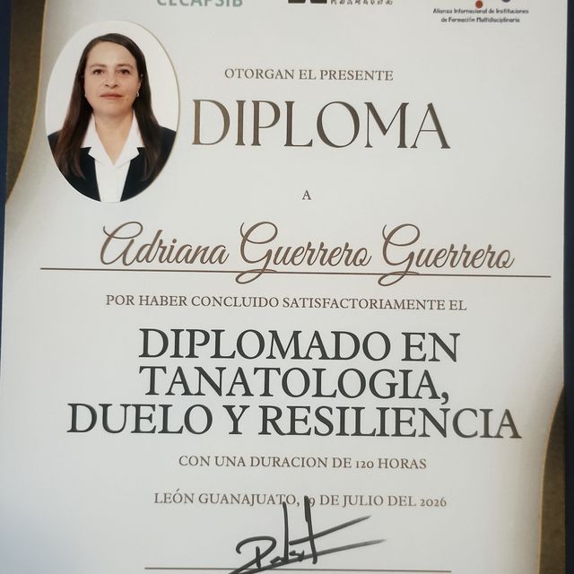 Ampliar imagen: certificate 3