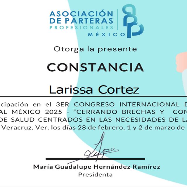 Ampliar imagen: certificate 5