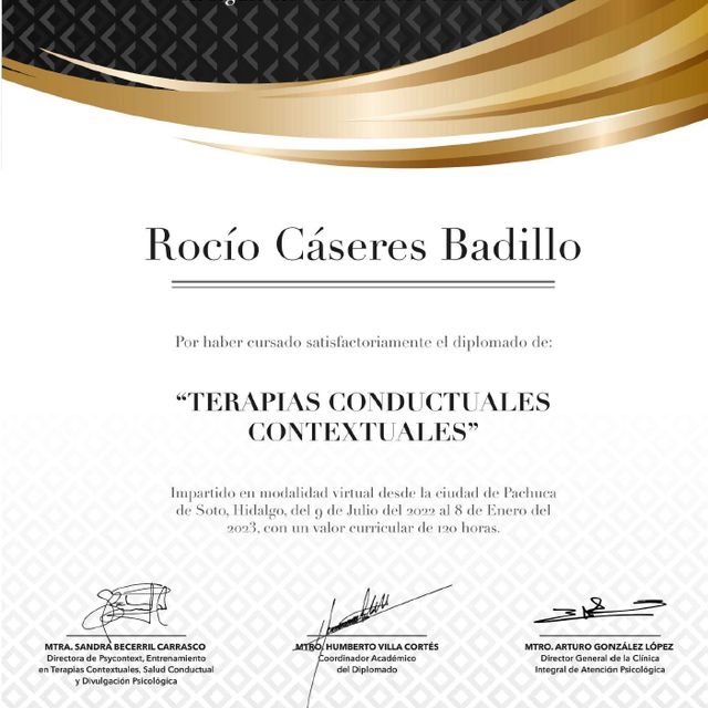 Ampliar imagen: certificate 2