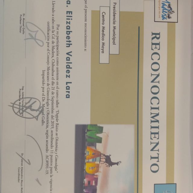 Ampliar imagen: certificate 4