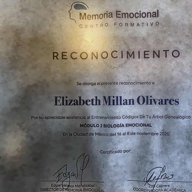 Ampliar imagen: certificate 6