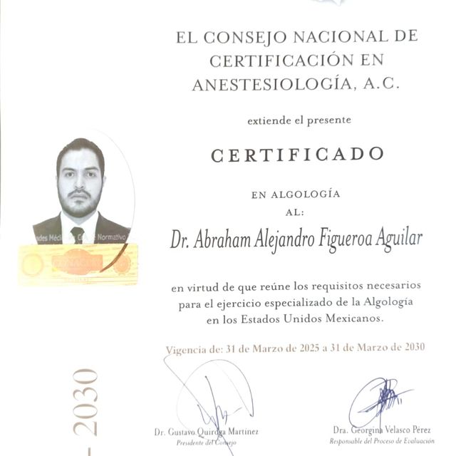 Ampliar imagen: certificate 3