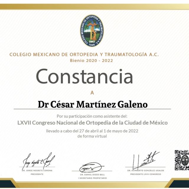 Ampliar imagen: certificate 9