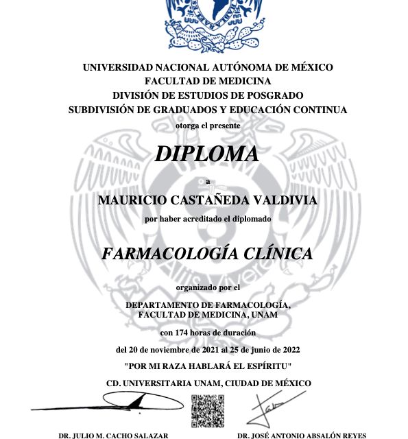 Ampliar imagen: certificate 5