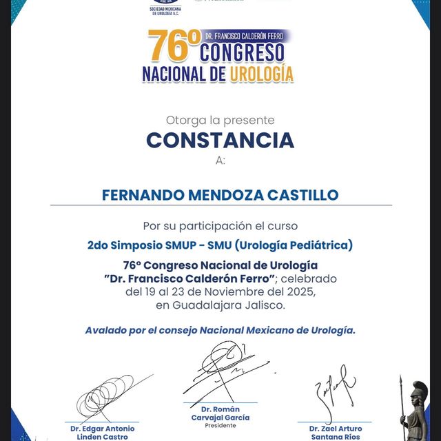 Ampliar imagen: certificate 3