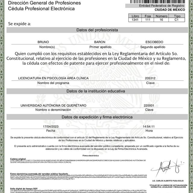 Ampliar imagen: certificate 2