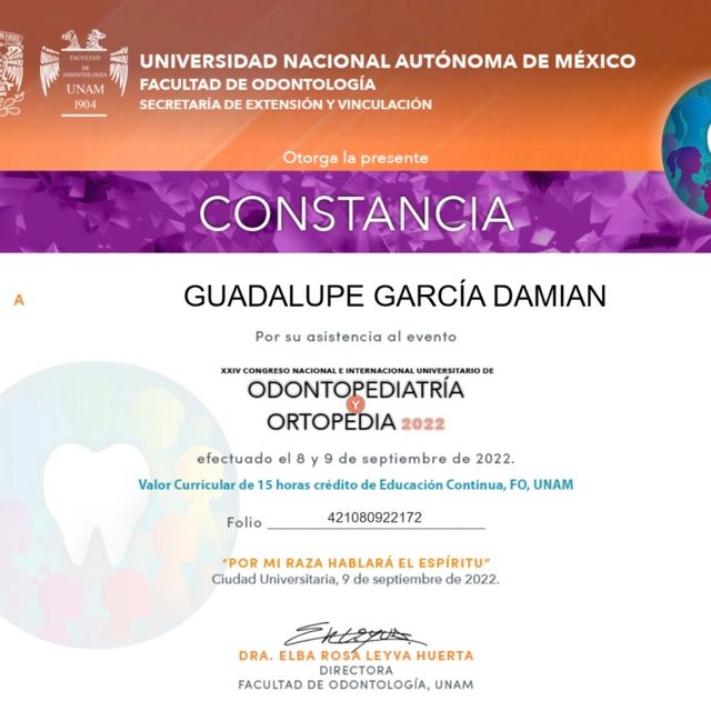 Ampliar imagen: certificate 5