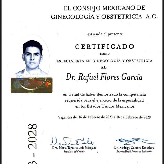 Ampliar imagen: certificate 3