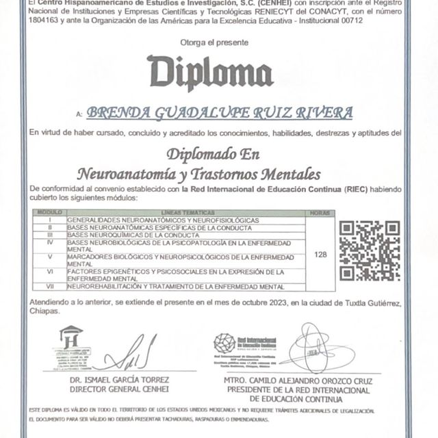 Ampliar imagen: certificate 1
