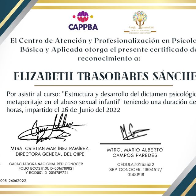 Ampliar imagen: certificate 7