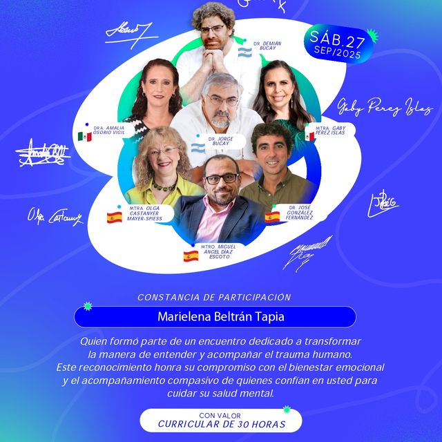 Ampliar imagen: certificate 6