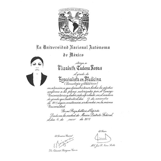 Ampliar imagen: certificate 6