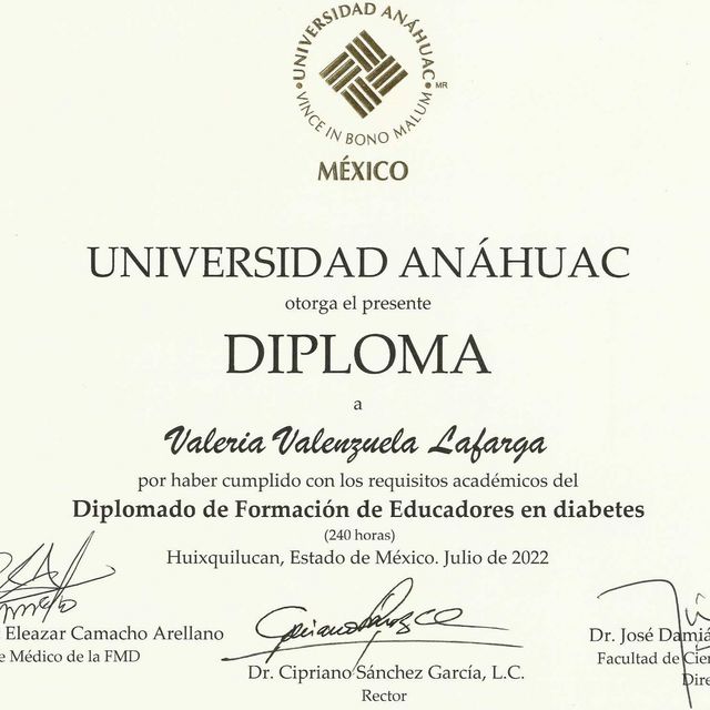 Ampliar imagen: certificate 4