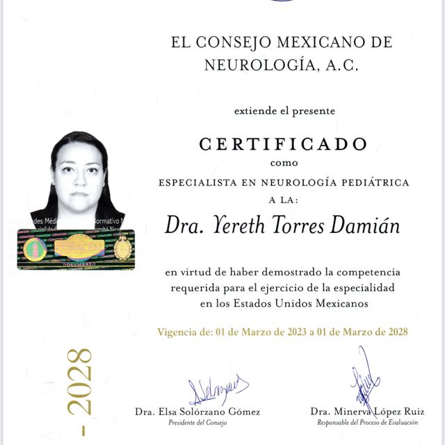 Ampliar imagen: certificate 2