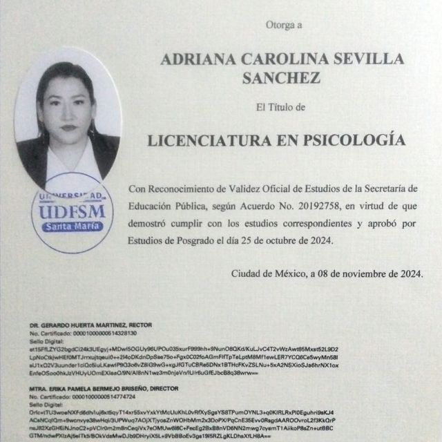 Ampliar imagen: certificate 1