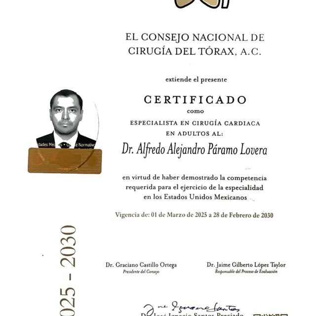 Ampliar imagen: certificate 3