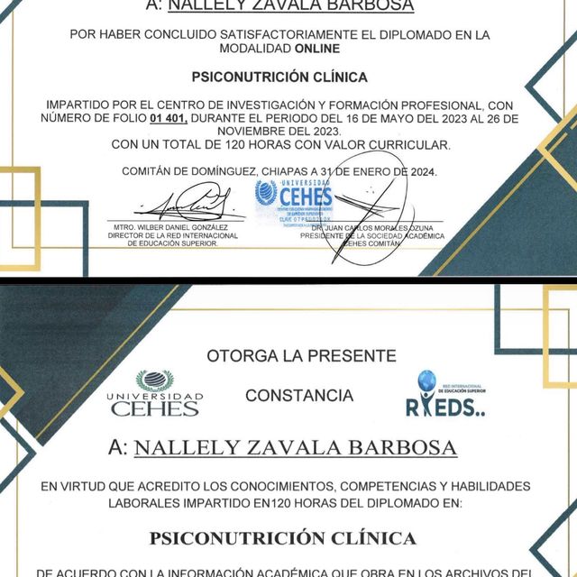 Ampliar imagen: certificate 2