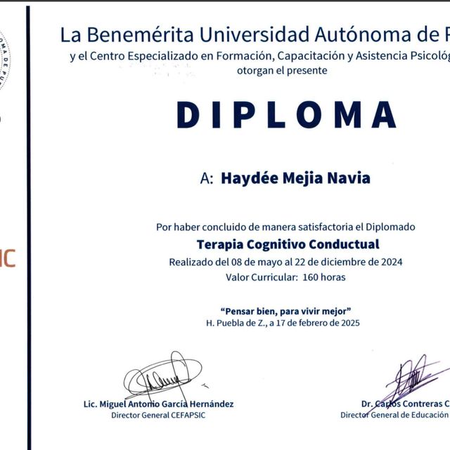 Ampliar imagen: certificate 2