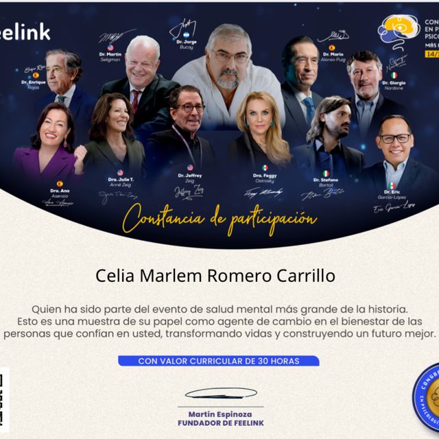 Ampliar imagen: certificate 14