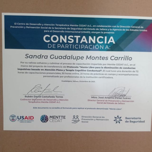 Ampliar imagen: certificate 3