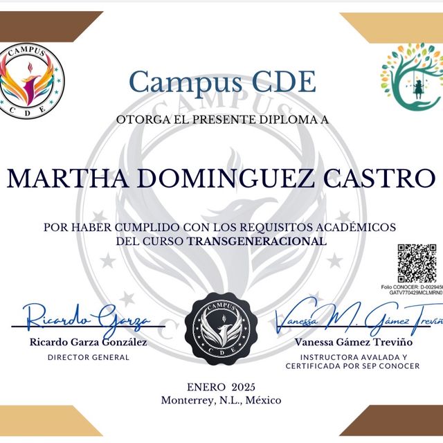 Ampliar imagen: certificate 5