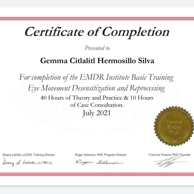 Ampliar imagen: certificate 2